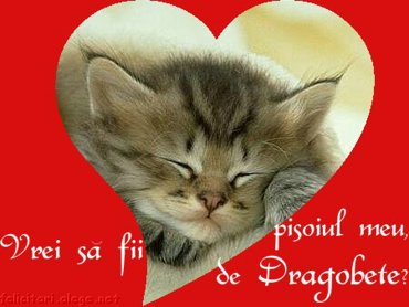 Vrei sa fii pisoiul meu de Dragobete?